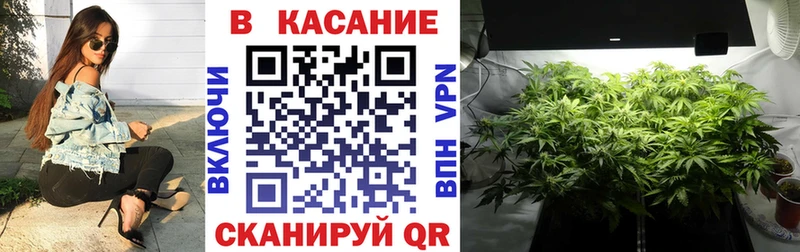 Купить наркотики Камбарка APVP  Меф мяу мяу  Галлюциногенные грибы  Конопля  ГАШ 