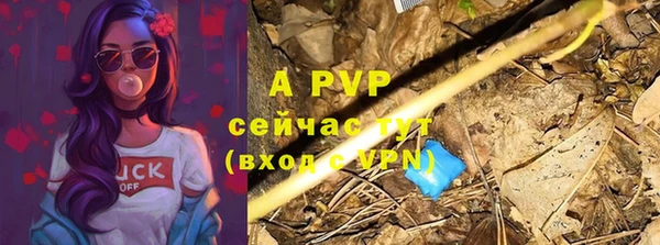 соль ск Заволжск