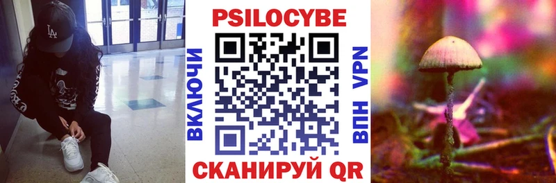 Псилоцибиновые грибы мицелий Камбарка